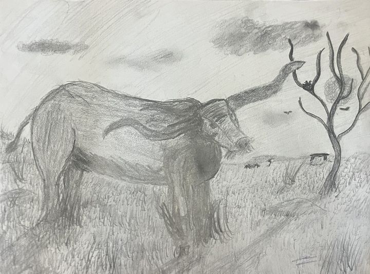 Pencil sketch of a long-horned animal in tall grass beside a bare tree